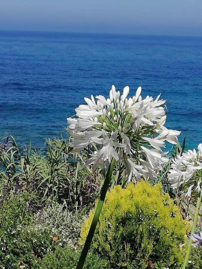Ikaria Village-Ground Floor Apartment No 4 Klorakas Exteriér fotografie